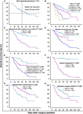 Clinical Significance and Risk Factors of Local Recurrence in Synovial Sarcoma: A Retrospective Analysis of 171 Cases